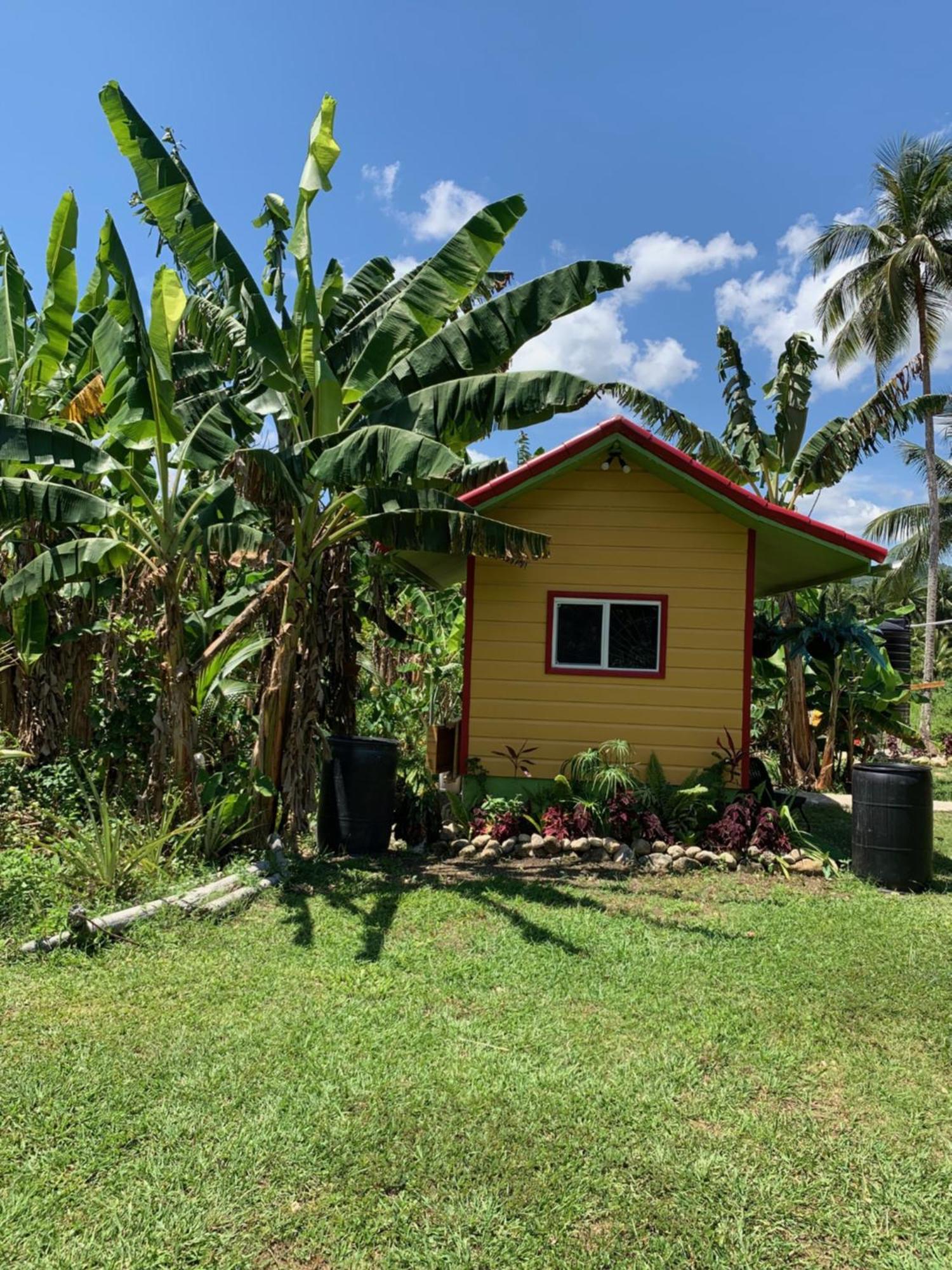 Green Queendom Farm And Lodging Oracabessa Exterior photo